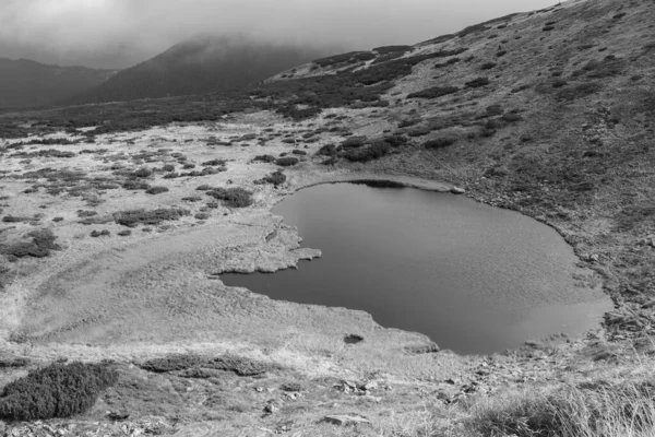 Λίμνη Nesamovite Και Γύρω Τοπίο Μαύρο Νερό Της Λίμνης Φθινόπωρο — Φωτογραφία Αρχείου