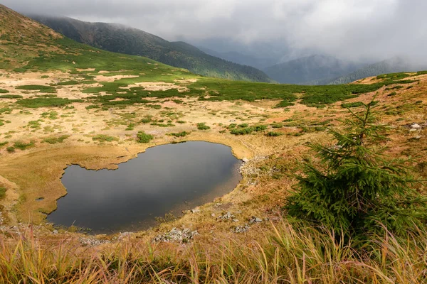 ネサモヴィテ湖とその周辺の風景 秋の湖の黒い水 カルパティアの秋 上記の湖 — ストック写真