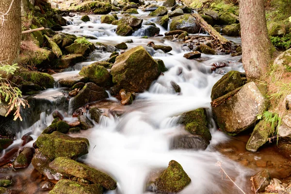 Der Fluss Karpaten Fließt Kaskaden Der Fluss Fließt Durch Den — Stockfoto