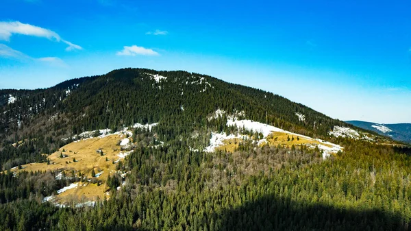Karpaternas Gran Och Vintergröna Skogar Morgonsolen Pittoreska Landskap Från Fågelperspektiv — Stockfoto