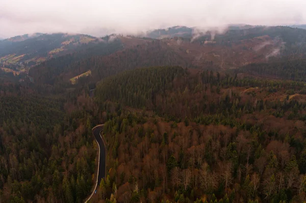 Synevyrska Polyana Natural Parque Nacional Ucraniano Bosques Siempreverdes Coníferas Conservación — Foto de Stock