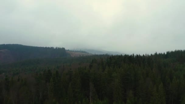 Synevyr Národní přírodní park Ukrajiny, území Karpat, létání v lesích. — Stock video
