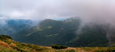 Şafak vakti Karpatların panoraması, dağlardan, dağ çalılarından ve çayırlardan oluşan rüya gibi panoramalar..