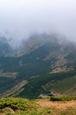 Şafak vakti Karpatların panoraması, dağlardan, dağ çalılarından ve çayırlardan oluşan rüya gibi panoramalar..