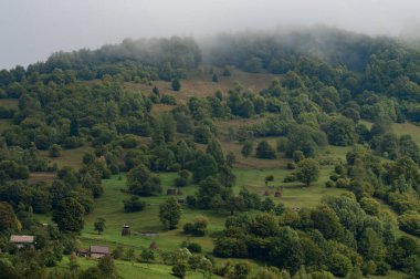 Sabah ışığında dağ çayırı, çimenli bir tepenin üzerindeki dağ vadisi, doğanın tazeliği kavramı, Karadağ manzaraları..