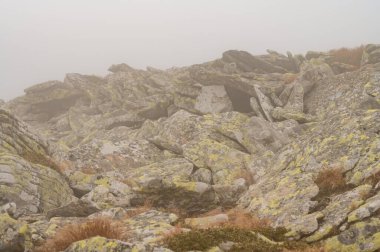 Siste kaya, yosunlu kaya dokusu, dağlarda düz taşlar..