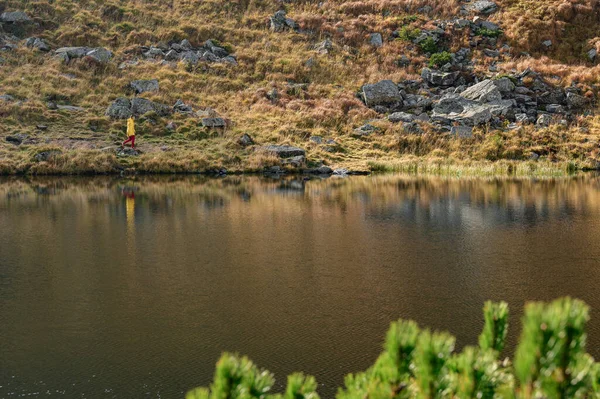 Reflet Homme Dans Lac Lac Sauvage Dans Les Carpates Reflet — Photo