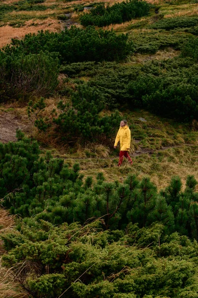 女人是图尔库尔山 群山中的奇装异服 喀尔巴阡山的秋景 — 图库照片