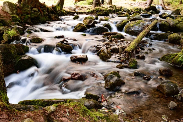 Der Fluss Karpaten Fließt Kaskaden Der Fluss Fließt Durch Den — Stockfoto