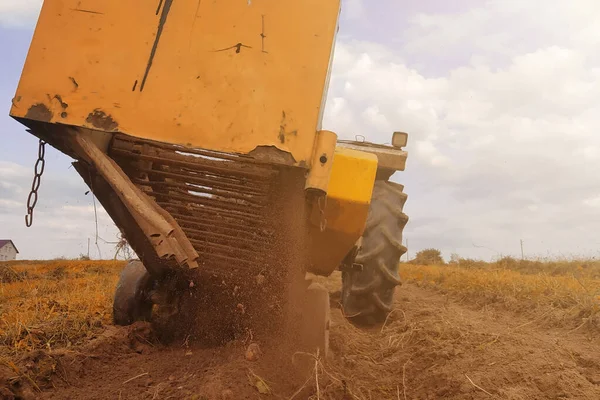 Traktor Felszánt Egy Sor Burgonyát Sárga Burgonyát Aratott Faluban Mezőn — Stock Fotó