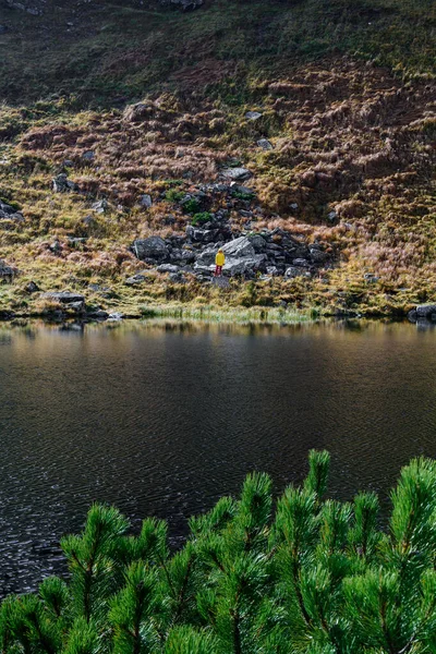 Lac Montagne Entre Les Sommets Lac Sauvage Dans Les Carpates — Photo