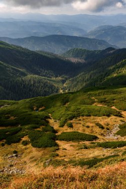 Sonbahar boyunca dağlarda manzaralar, Karpatlar 'da yürüyüş yolları, pitoresk ve gerçek manzaralar, Ukrayna Karpatları.