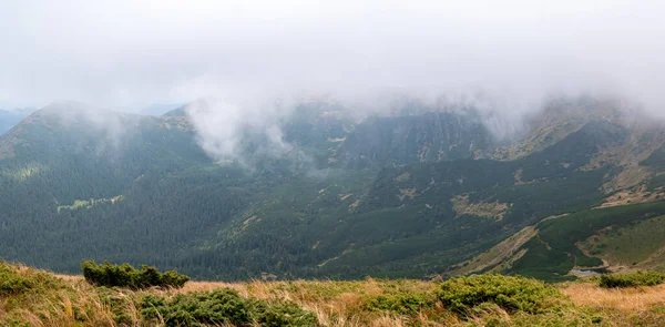 Panoramata Karpat Úsvitu Zasněná Panoramata Hor Horských Keřů Luk — Stock fotografie