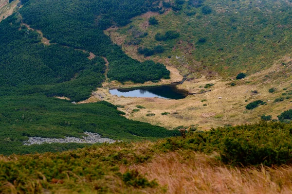 秋のカルパティア 絵のような山の風景 カルパティア ウクライナ国立公園 山の牧草地 湖を見下ろす — ストック写真