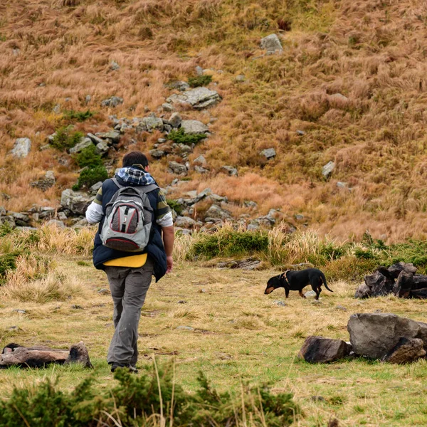 Toeristen Wandelen Herfstbergen Karpaten Met Makkelijke Wandelingen Mensen Met Wandelstokken — Stockfoto