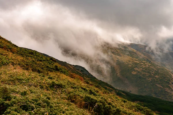 지역의 카르파티아 산맥의 오솔길 그림같고 실제적 우크라 이나의 카르파티아 — 스톡 사진