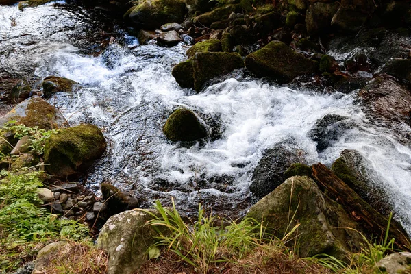 Der Fluss Karpaten Fließt Kaskaden Der Fluss Fließt Durch Den — Stockfoto
