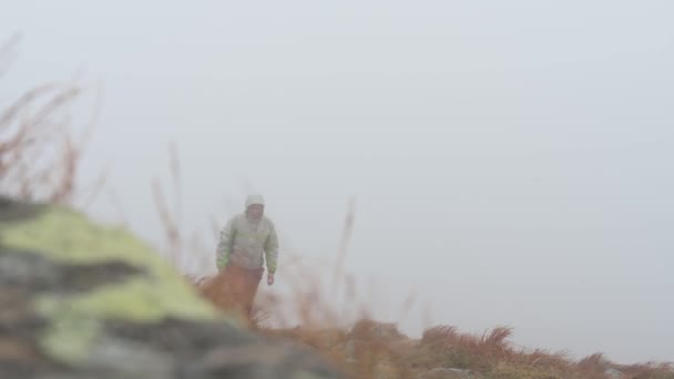 The drone takes off a couple of tourists with backpacks who are on a mountain tour. — Vídeos de Stock