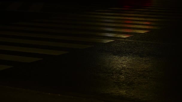 Cruce de peatones por la noche, tráfico por la noche. — Vídeos de Stock