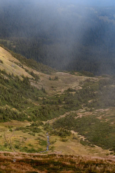 Bulutlu sonbahar Karpatları, pitoresk dağ manzaraları, Karpat Ukrayna Ulusal Parkı, dağ çayırları ve bir göl..