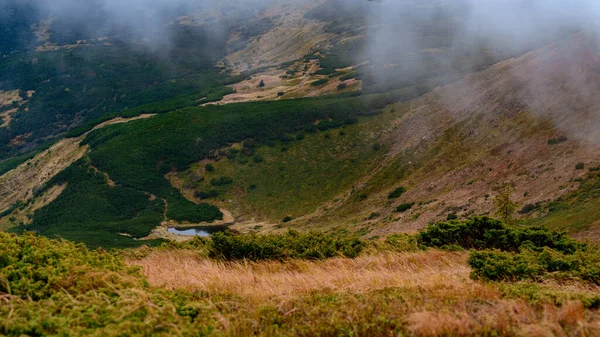 Zataženo Podzim Karpaty Malebná Horská Krajina Karpatský Ukrajinský Národní Park — Stock fotografie