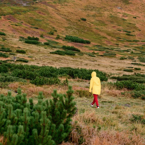 Femme Est Mont Turkul Vêtements Lumineux Dans Les Montagnes Paysages — Photo