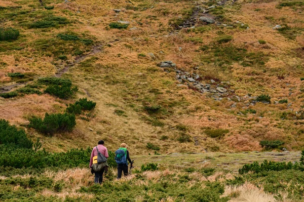 Tourists Walk Autumn Mountains Carpathian Trails Easy Walking People Trekking — ストック写真