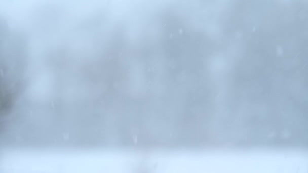 Copos Nieve Volando Desde Ventana Día Nevado Invierno Video Time — Vídeo de stock