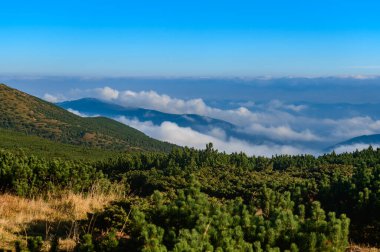 Karpat Dağı 'nın zirvesi Türkul, dağın eteğinde büyülü bir sonbahar şafağı, dağlarda sonbahar zamanı.