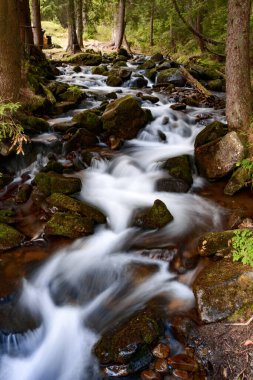 Bir dağ nehrinin akışı, nehir yatağı boyunca suyun bulanık hareketi, ormandaki dağ nehri..
