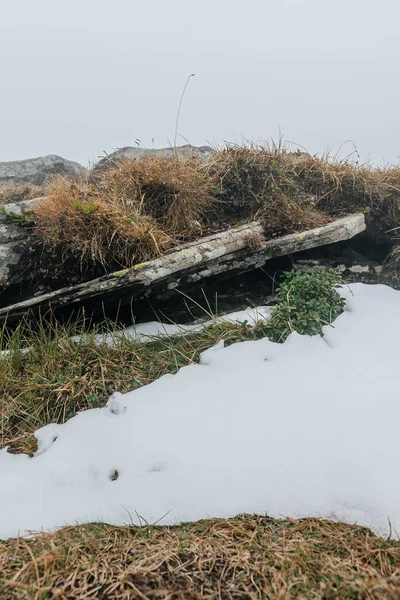 Siste kaya, yosunlu kaya dokusu, sisli kaya dokusu, yosunlu kaya dokusu, büyük düz taş yığını..