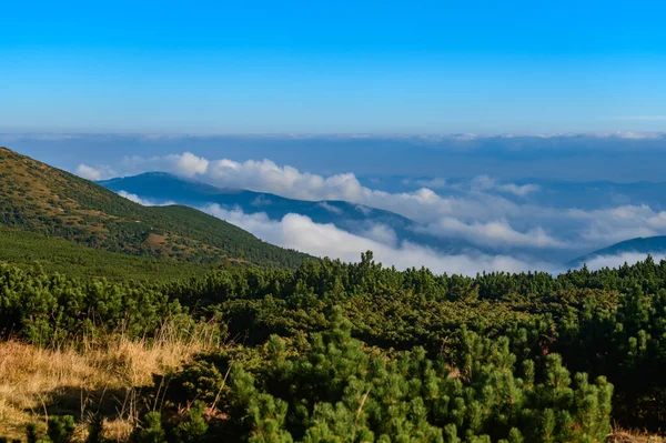 Karpat Dağı 'nın zirvesi Türkul, dağın eteğinde büyülü bir sonbahar şafağı, dağlarda sonbahar zamanı.