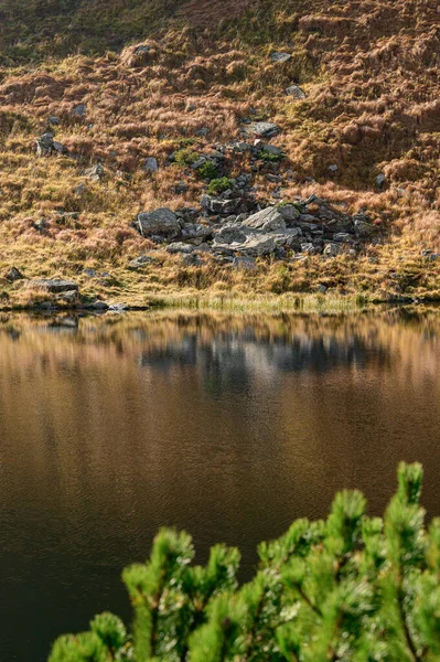 Reflejo Hombre Lago Lago Salvaje Los Cárpatos Reflejo Una Mujer — Foto de Stock