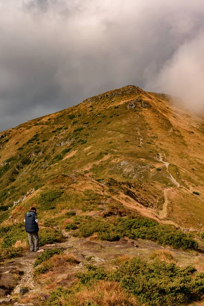 Tourists Walk Autumn Mountains Carpathian Trails Easy Walking People Trekking — ストック写真