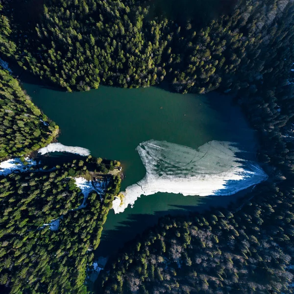 Lago Synevyr Los Cárpatos Ucrania Lago Fue Tomado Dron Vista — Foto de Stock