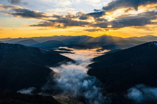 Authentic Dawn Carpathians Synevyrska Polyana National Park Fog Mountains Clouds — Stock Photo, Image