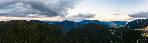 Východ Slunce Karpat Mlhavé Hory Smrkové Lesy Přírodním Parku Ranní — Stock fotografie