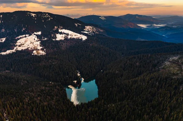 Lake Synevyr Omlijst Door Een Dennenbos Karpaten Uitzicht Drone Synevyr — Stockfoto