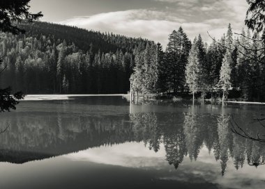 Göl ve berrak su, gökyüzünün yansıması ve sudaki ağaçlar, göl ve etrafındaki sonsuz yeşil orman..