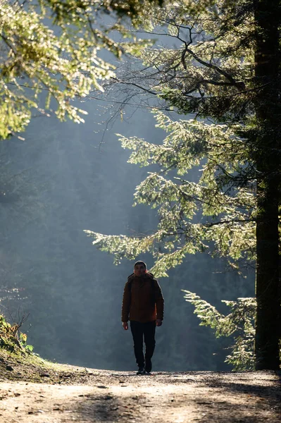 A man walks along the forest paths in the fog, the sun\'s rays break through the trees and the fog, backpack on the back of a man.