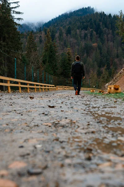 Erdei Utakon Sétálva Egy Ember Egyedül Sétál Egy Erdei Úton — Stock Fotó