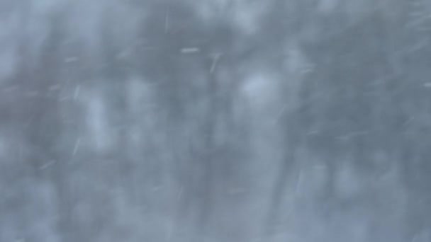 Weiße Schneeflocken Fallen Garten Der Nähe Des Hauses Fallender Schnee — Stockvideo