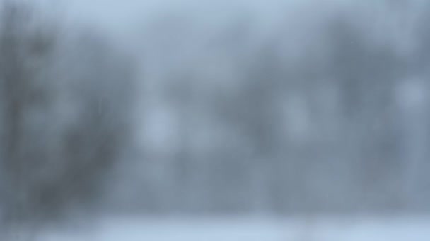 白い雪片は家の近くの庭に落ち 木の背景に雪が降り ビデオ4K — ストック動画