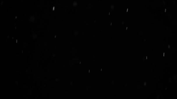 夜空を背景に雪の結晶が落下し ポストプロダクションのために隔離され グラフィックエディタのHdスローモーションビデオでオーバーレイ 黒を基調とした白雪の棒 — ストック動画