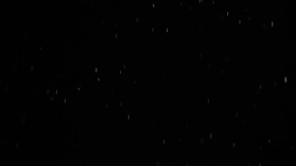 夜空を背景に雪片が落下し ポストプロダクションのために隔離され グラフィックエディターでオーバーレイされます Bokehの白い雪上のA黒の背景Hd遅い動きビデオ — ストック動画