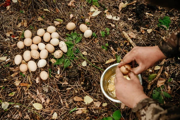Eggs and a deep bowl, the Ukrainian military prepares eggs in the field, war and food for the military, Russian Ukrainian war.