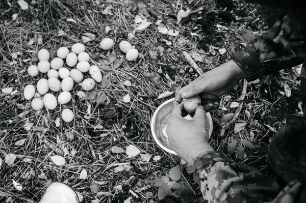 卵と深いボウル ウクライナ軍は軍 ロシアのウクライナ戦争のためのフィールド 戦争と食糧の卵を準備します — ストック写真