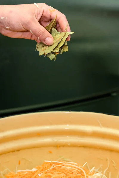Процесс Приготовления Квашеной Капусты Морковью Лавровыми Листьями Крупным Планом Рук — стоковое фото