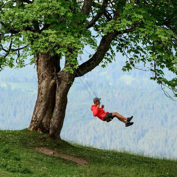 A child rides on a swing high in the mountains, a tree and a swing, a swing in the Carpathians.