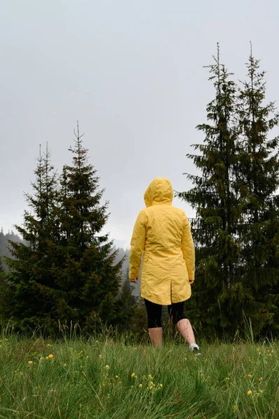 Girl Yellow Jacket Walks Meadow Rain Walk Rest Mountains Hike — Stock Fotó